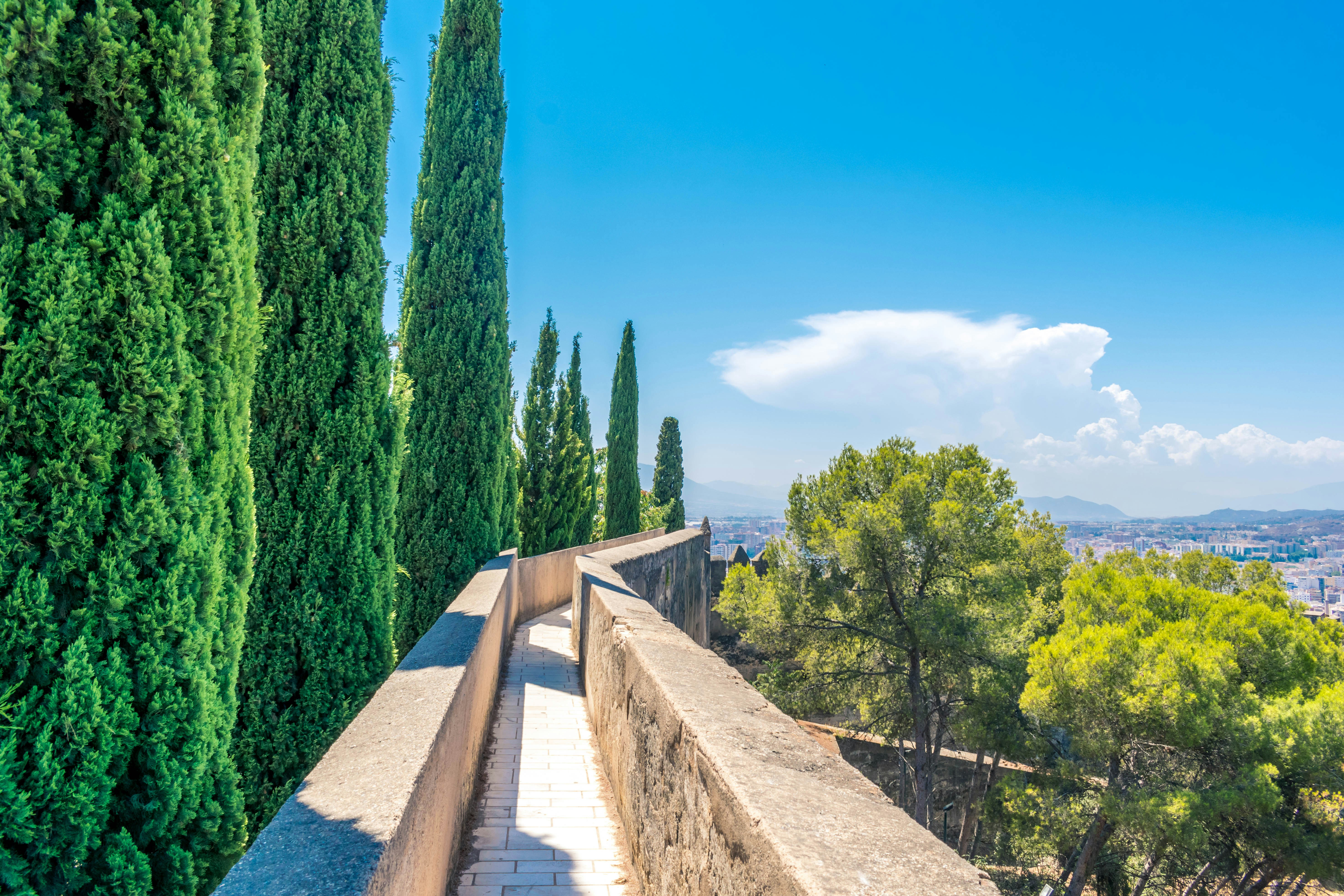 Photo by shinychunks