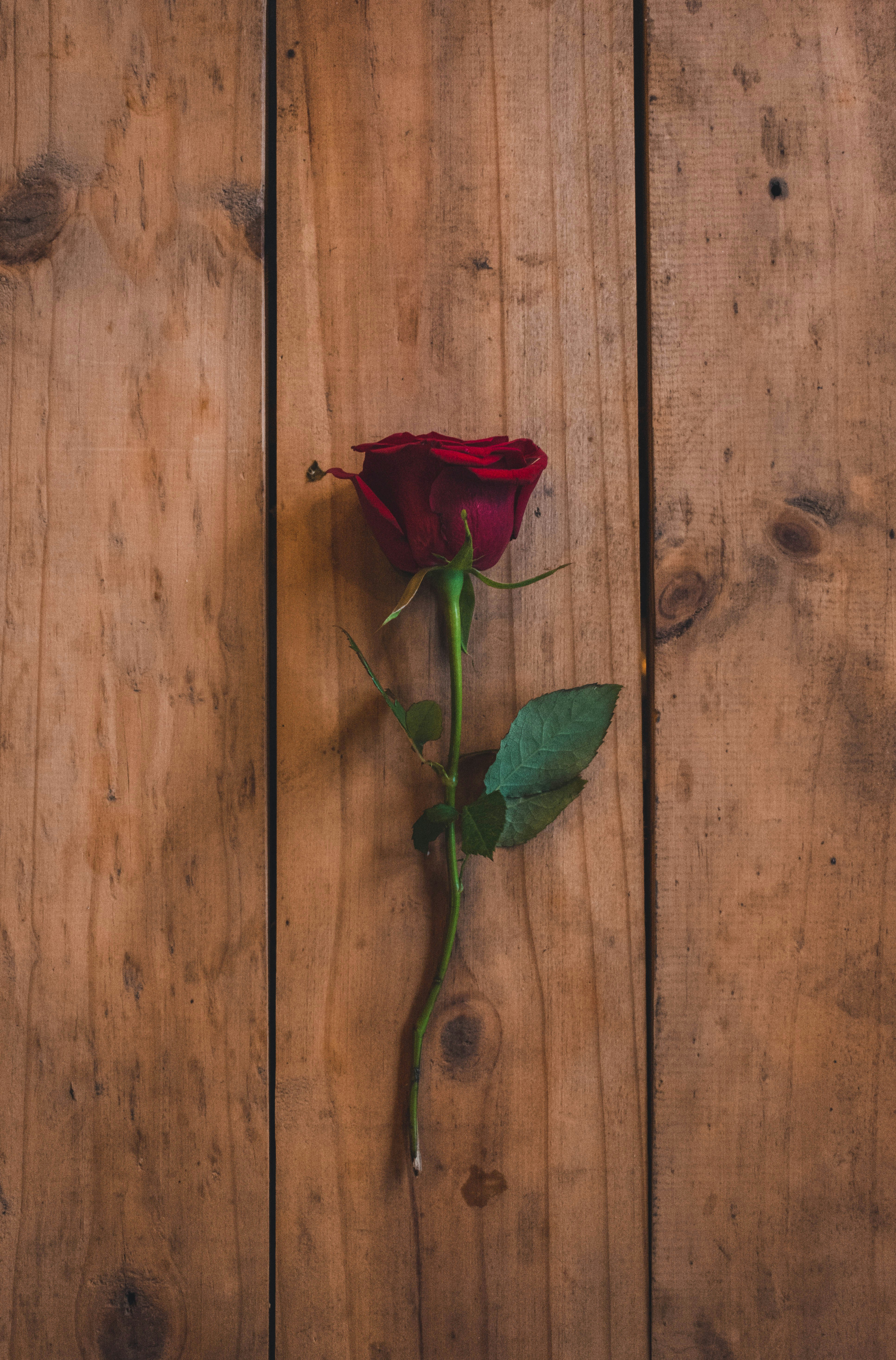 Photo by aditya_vs14