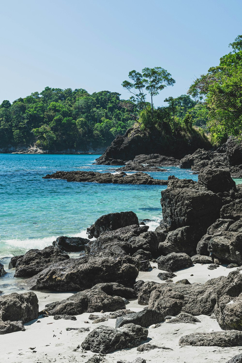 green trees on black rock formation near blue sea during daytime