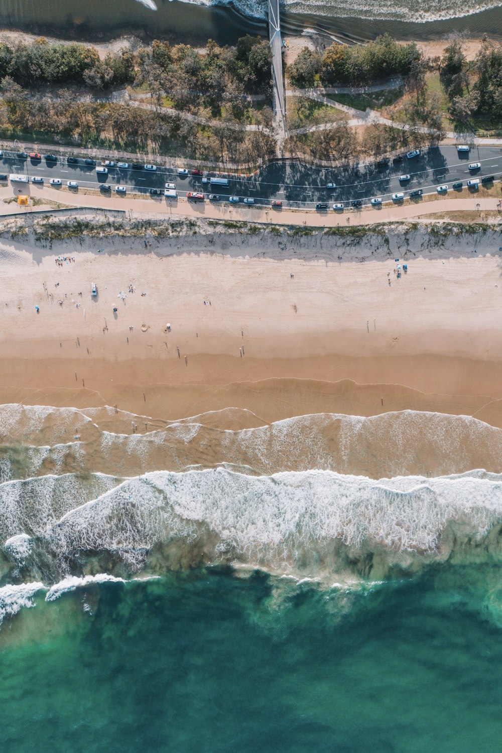 people on beach during daytime