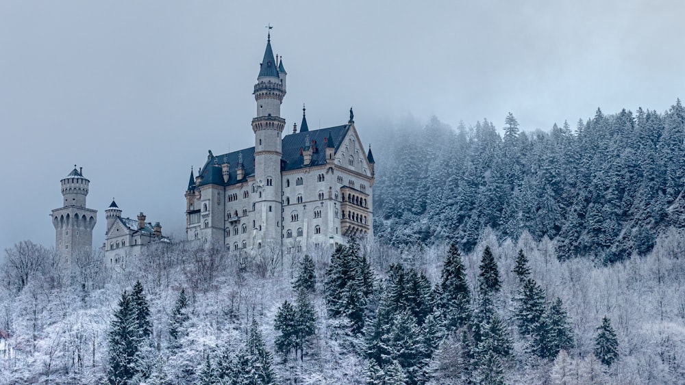 castelo branco e marrom cercado por árvores cobertas de neve