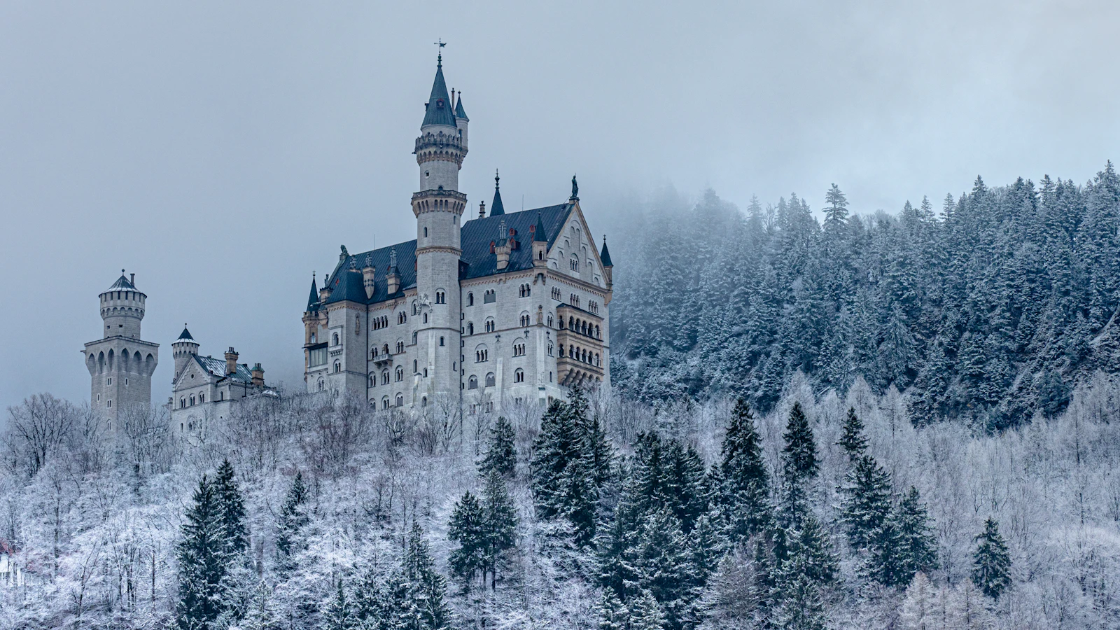 Sephari Germany