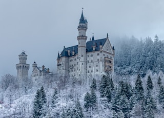 white and brown castle surrounded by trees covered with snow