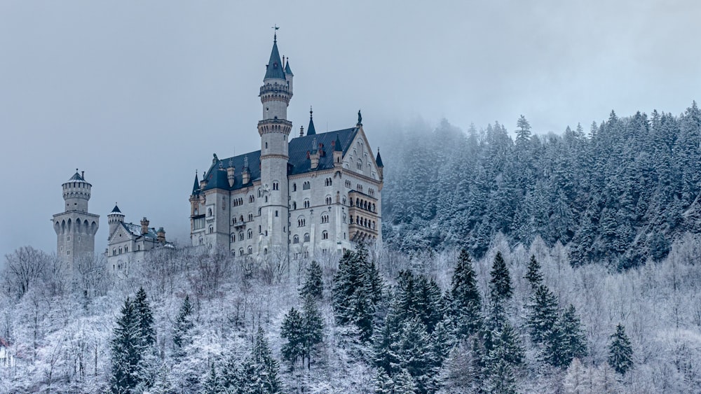 Castillo blanco y marrón rodeado de árboles cubiertos de nieve