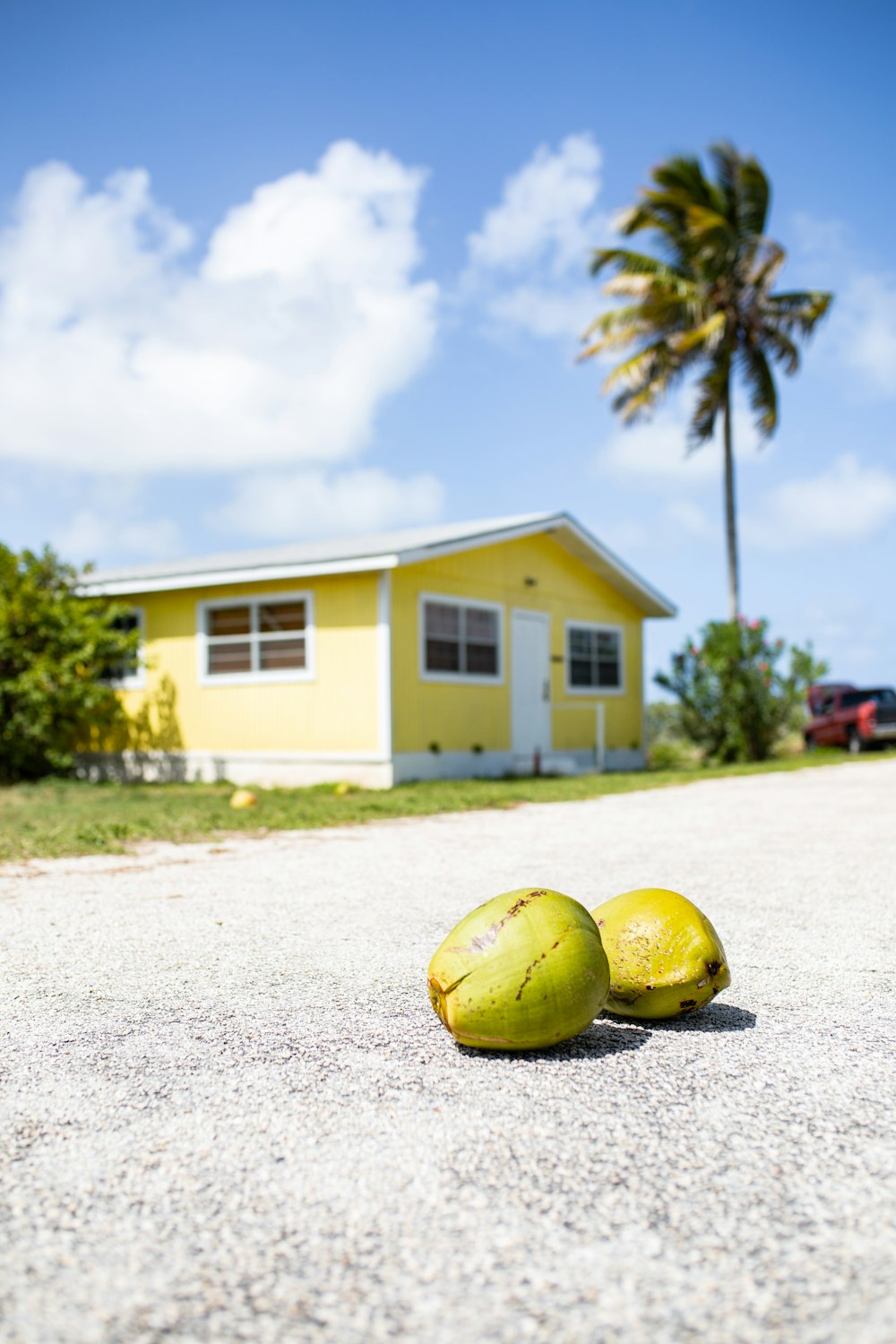 yellow and green round fruit on white sand during daytime