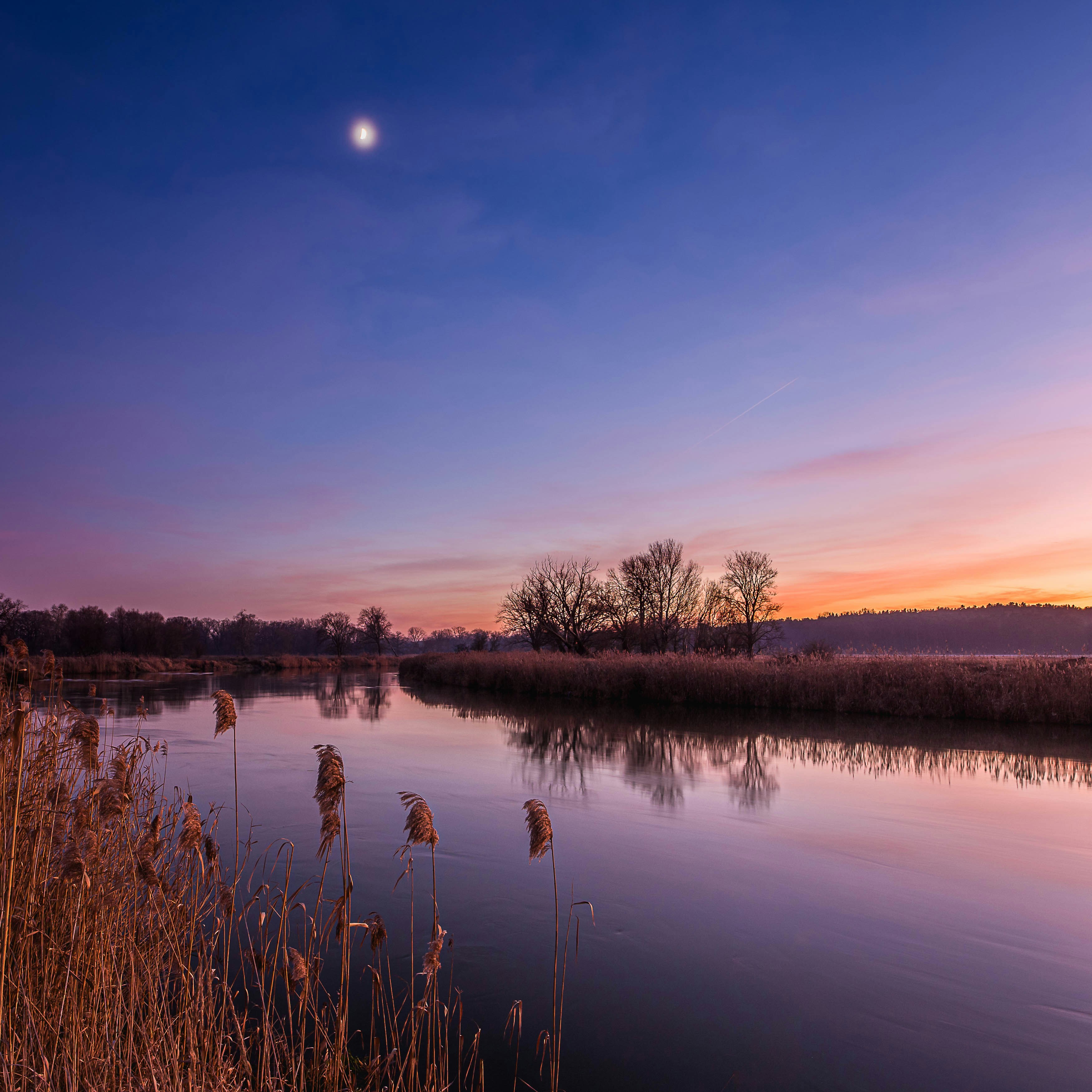 body of water near trees during sunset