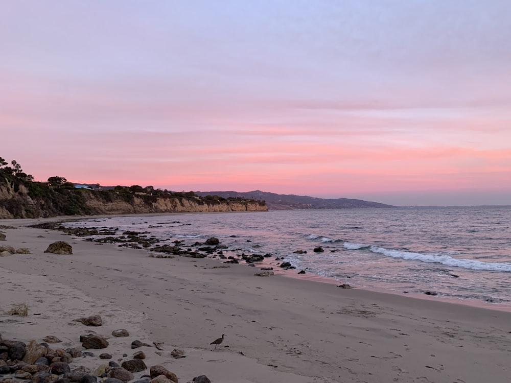 sea waves crashing on shore during sunset