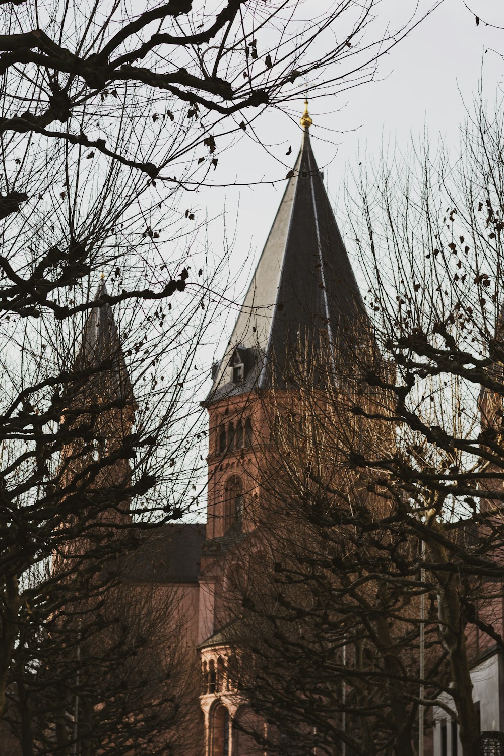 Braunes Betongebäude in der Nähe von kahlen Bäumen tagsüber