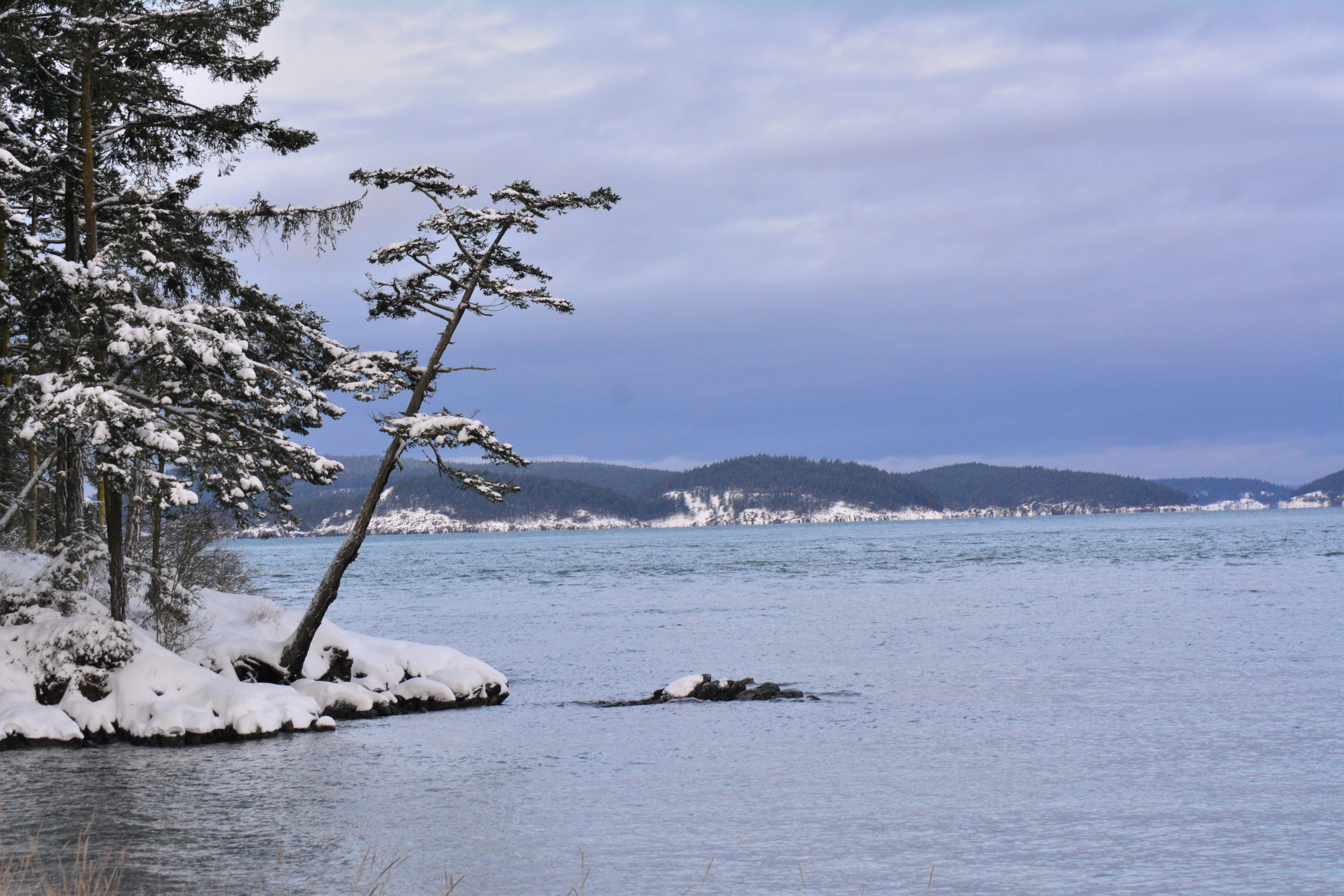 Photo by bryanhanson