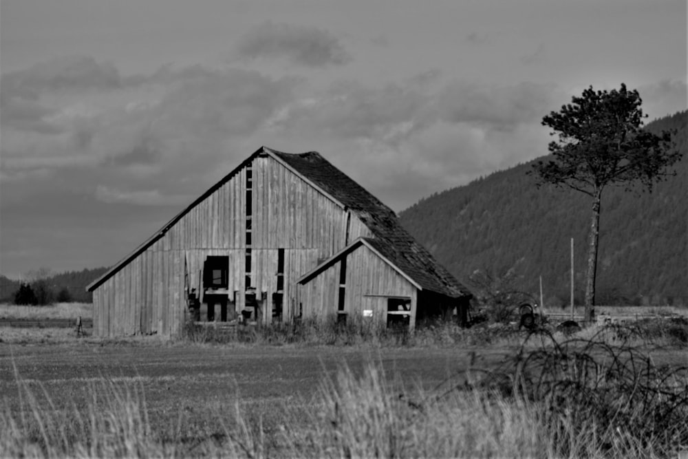 grayscale photo of wooden house on grass field