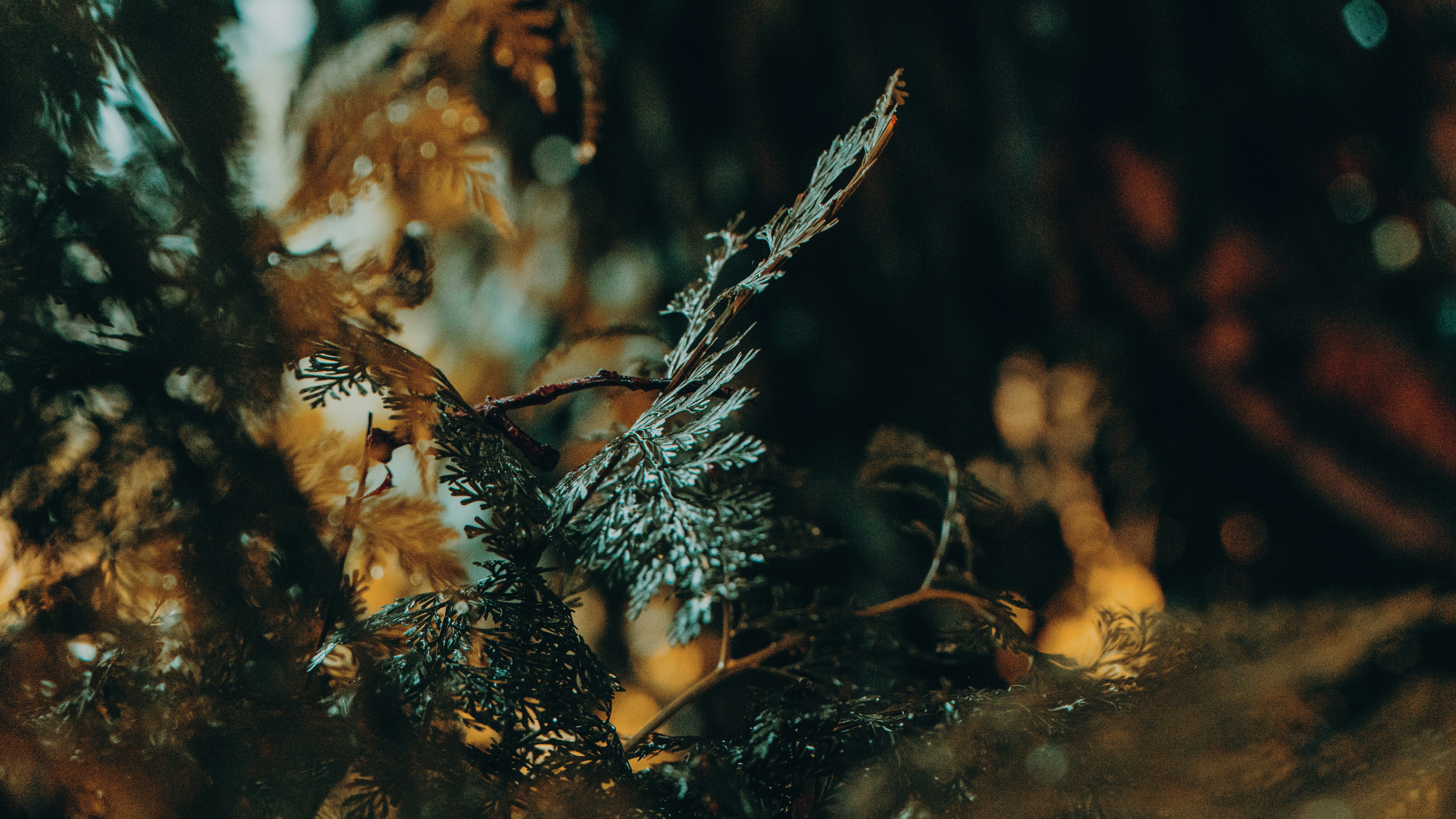 Photo by ssergiomedinaa