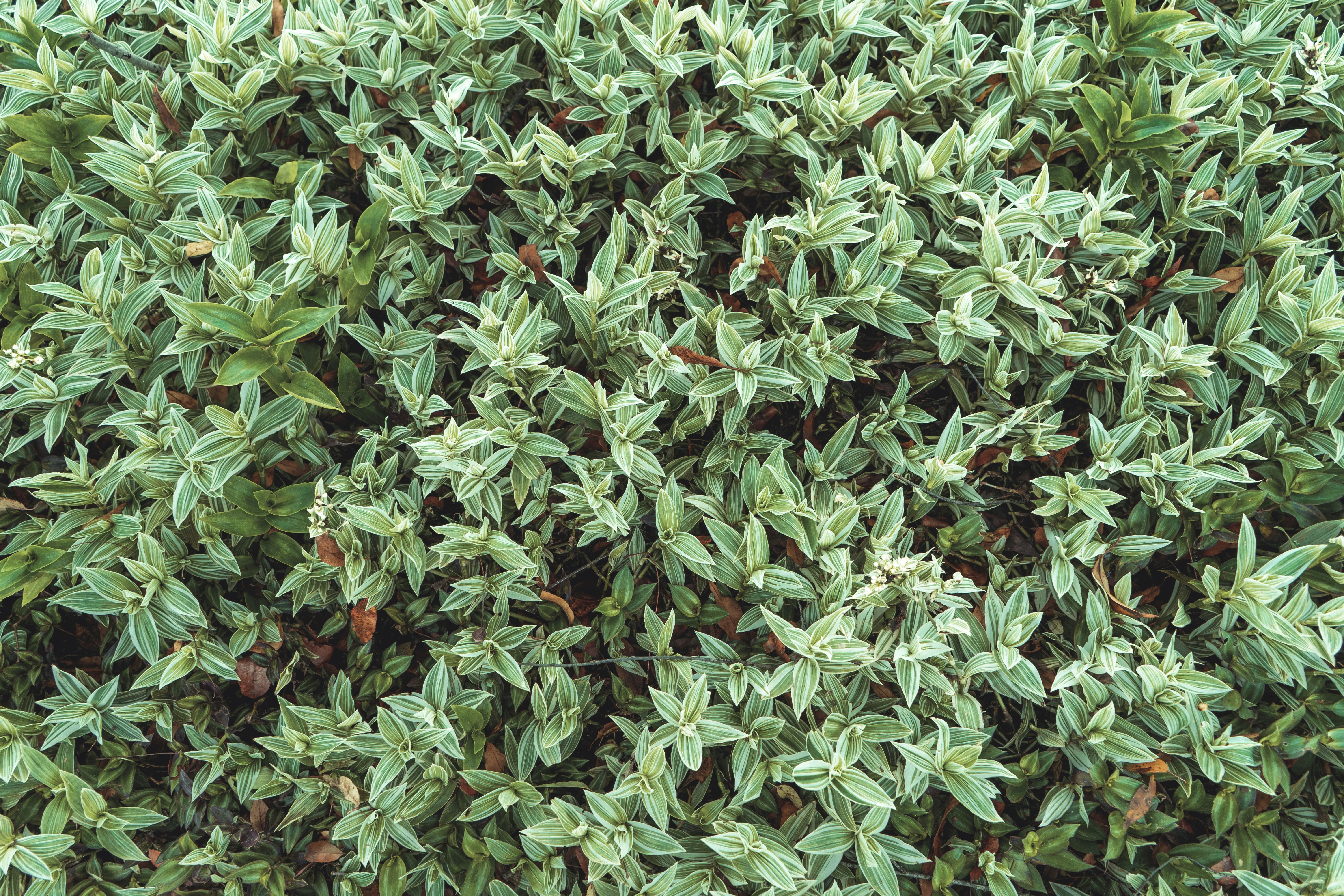 Photo by ssergiomedinaa