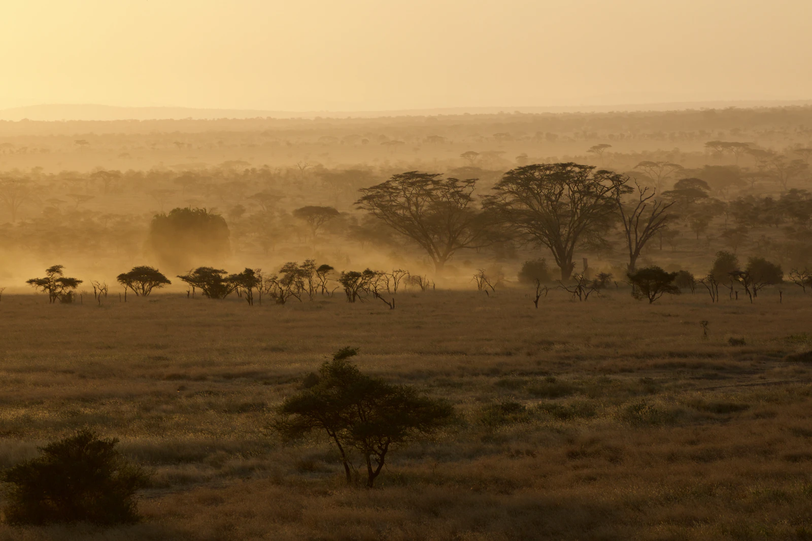 Singita Sabora Tented Camp