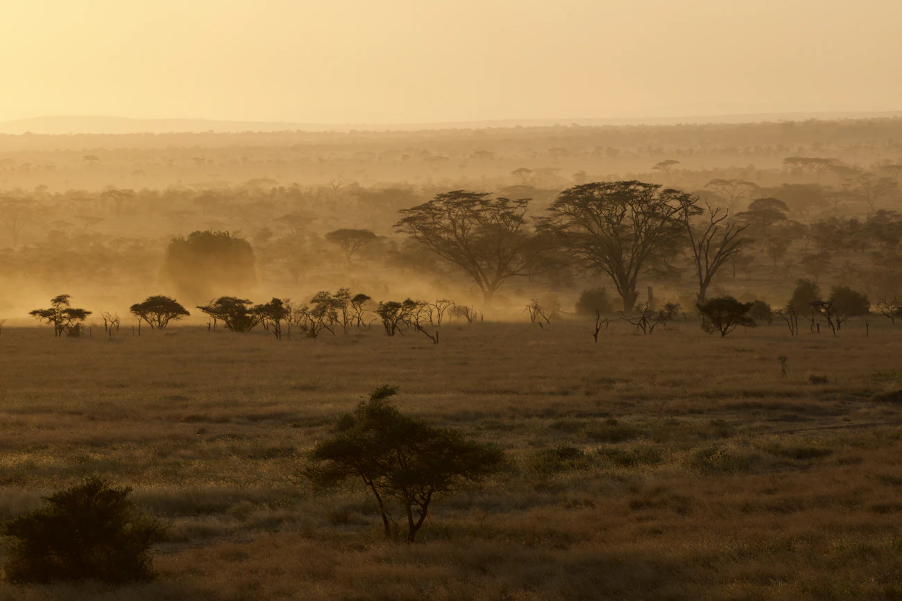 Okavango landscape