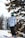 A person wearing a light blue snow jacket, black snow pants, gloves, and a helmet with goggles stands on a snowboard on a snowy slope. The scene is set among evergreen trees covered with snow, suggesting a winter setting.
