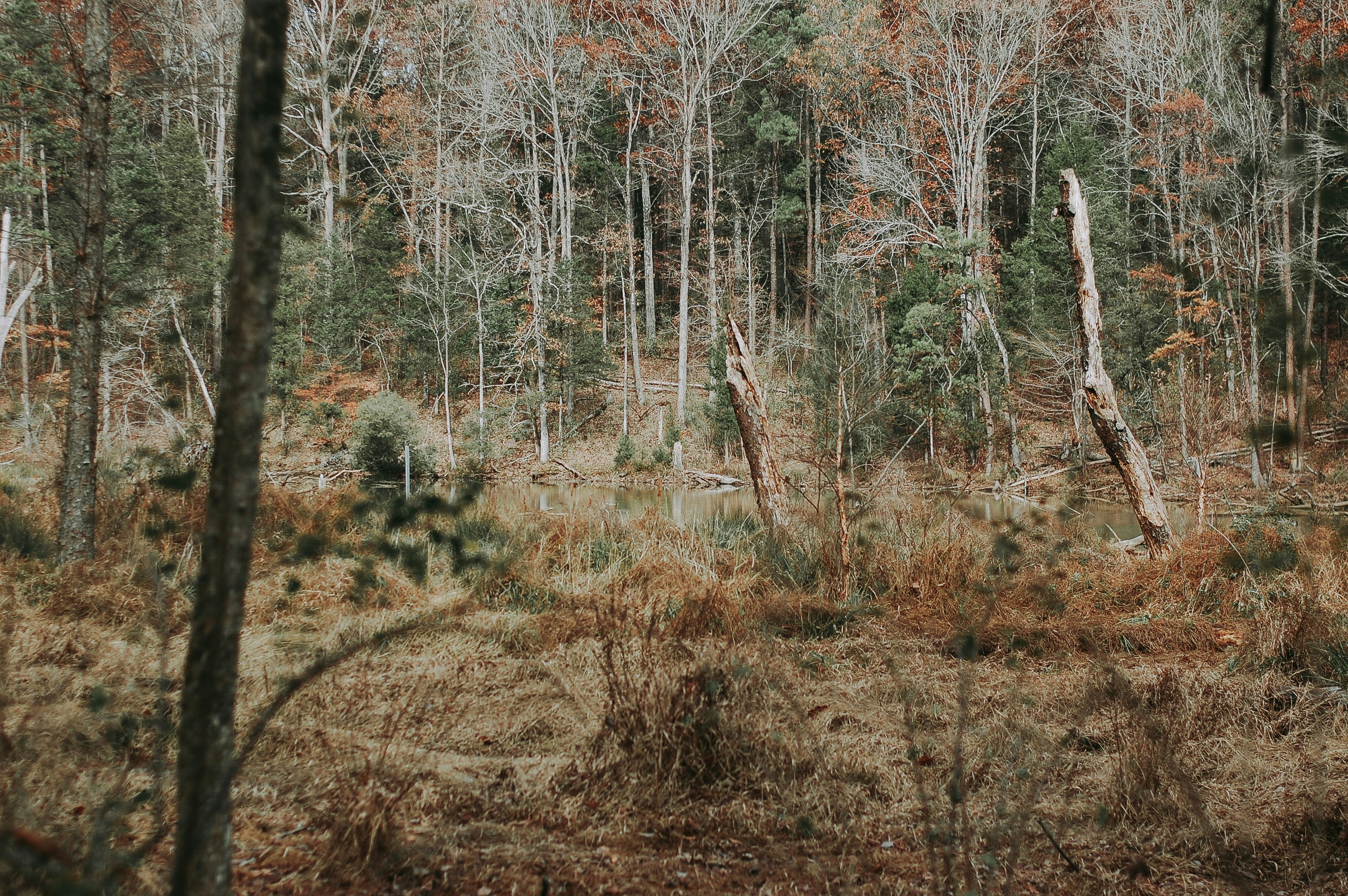 Photo by wilderandrae