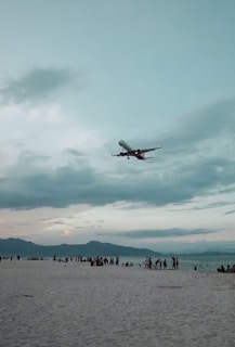 Holiday flight