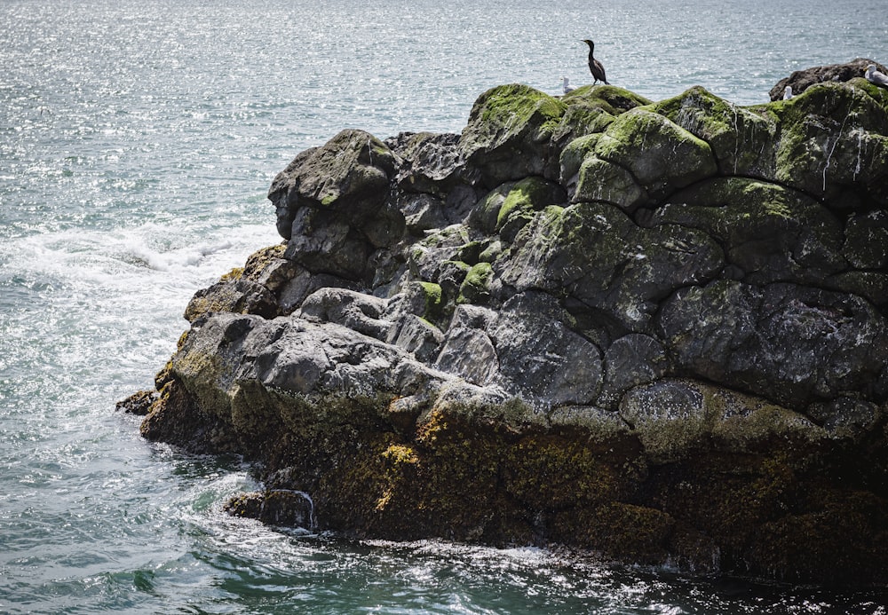 person in black shirt and black pants standing on rocky shore during daytime