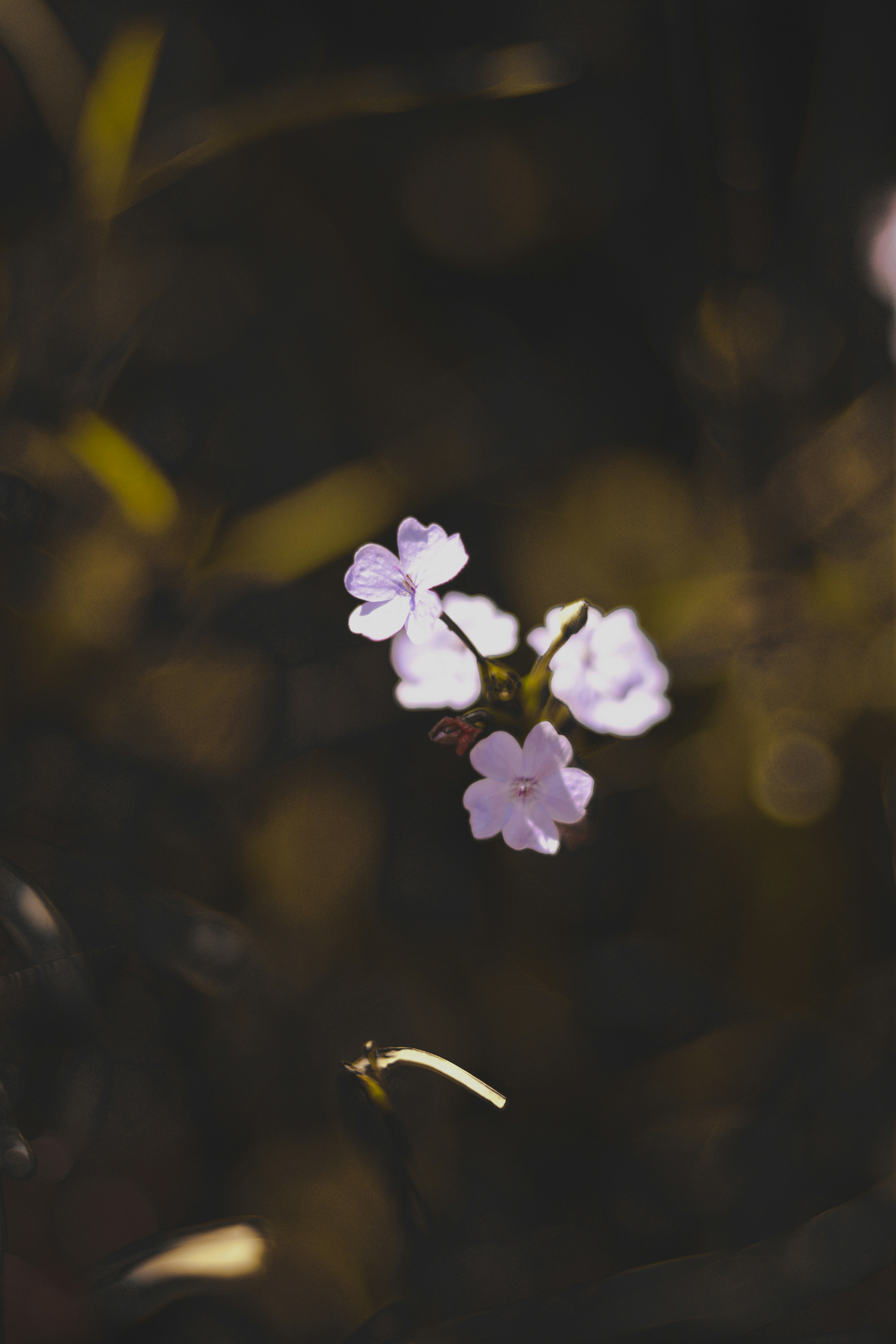 Photo by mohnishlandge