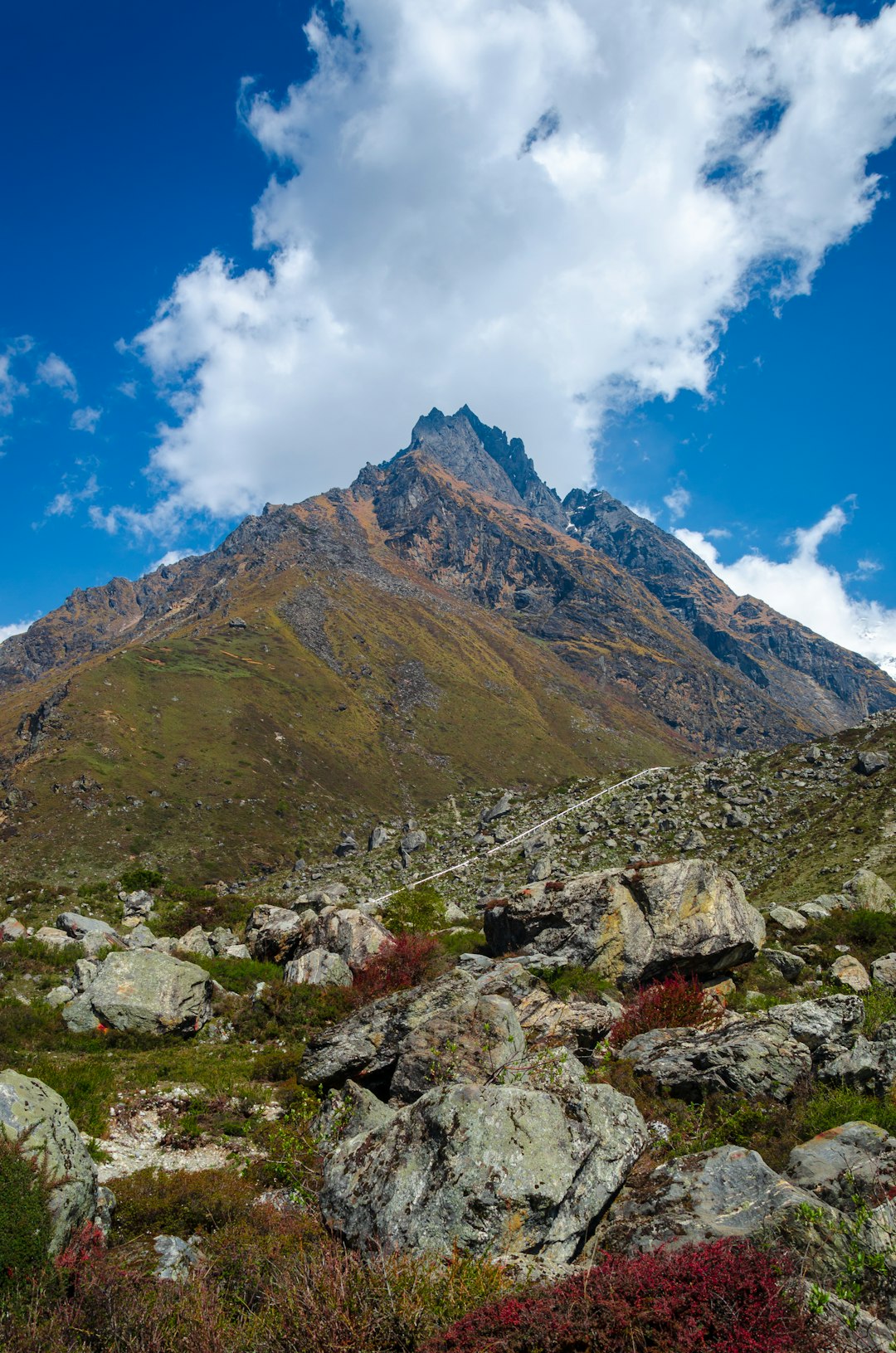 travelers stories about Hill in Langtang, Nepal