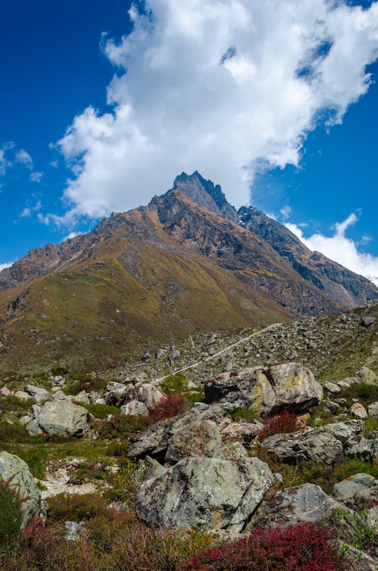 green and brown mountain under blue sky during daytime in Langtang Nepal