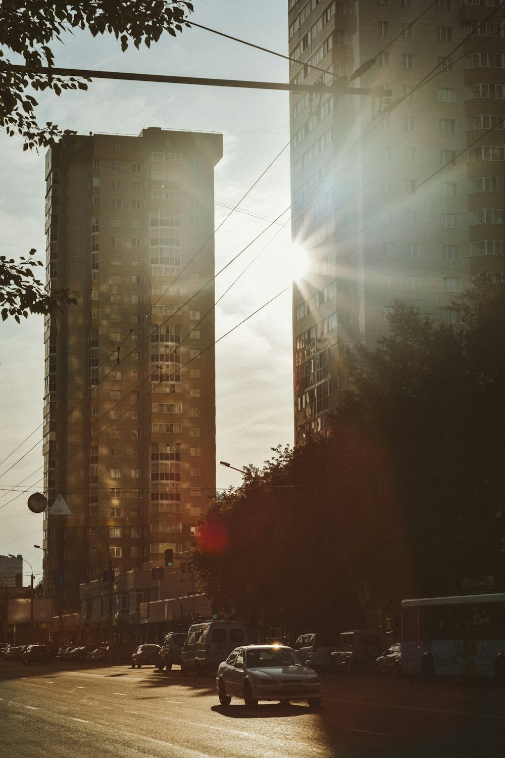 green trees near city buildings during daytime