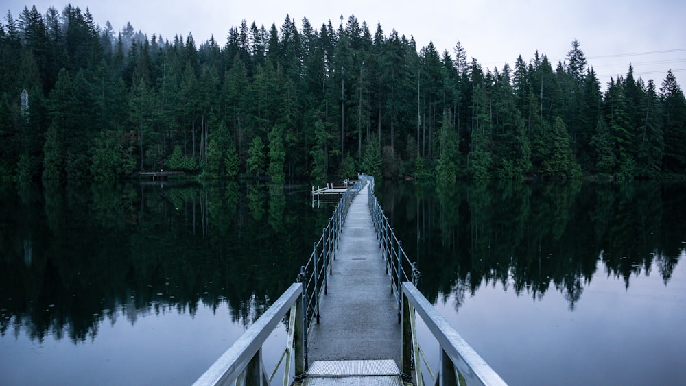 gray wooden bridge over river