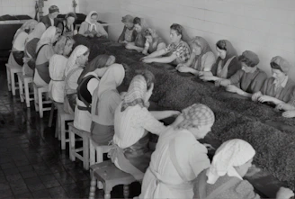 Team members collaborating on private label clothing production in Turkey.