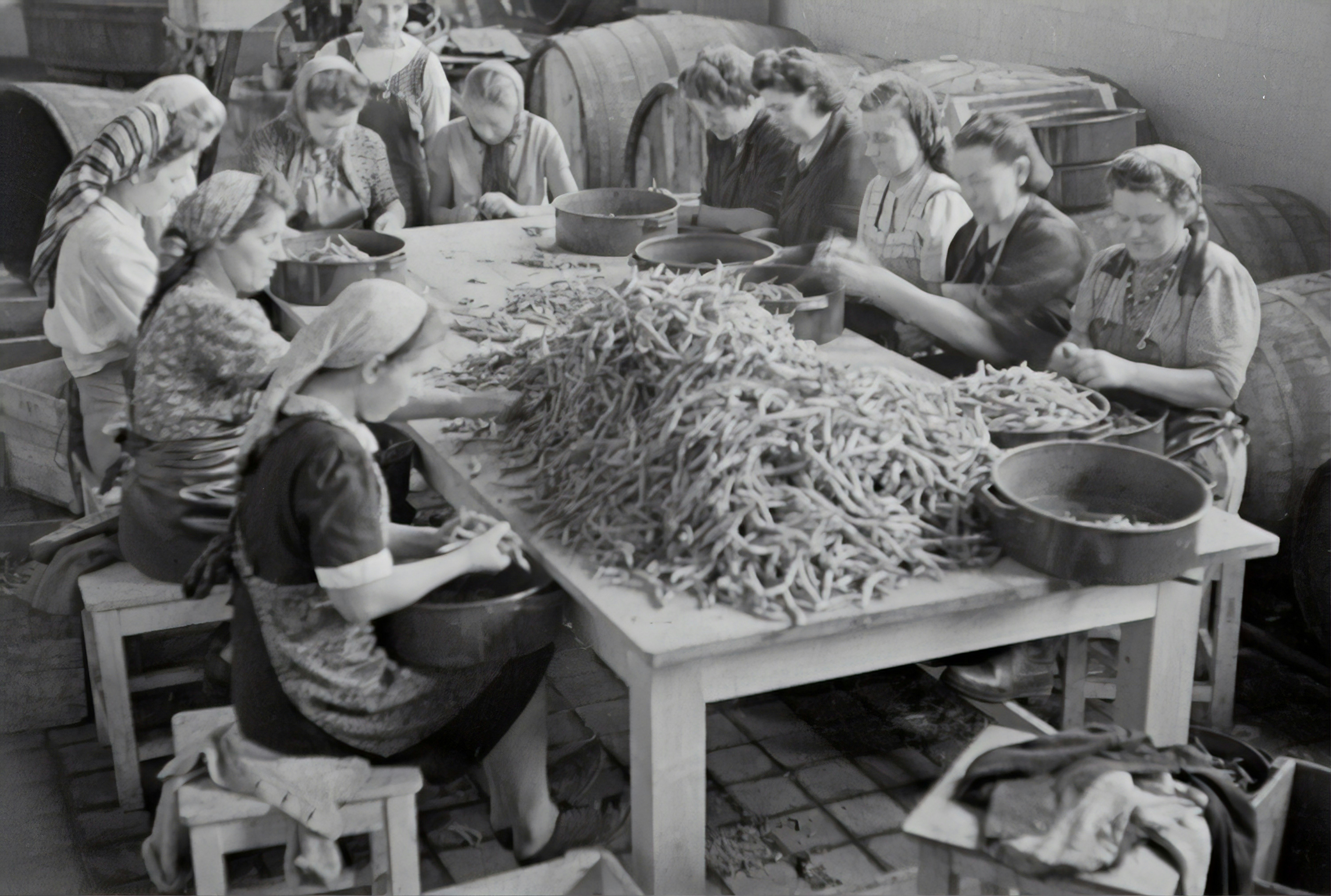 	Petter frozen foods, workers