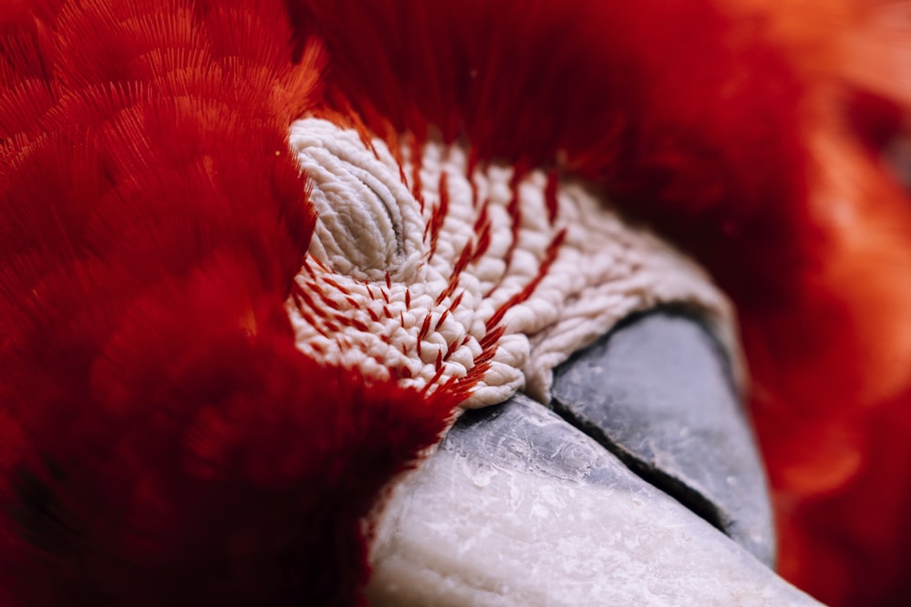 red and white bird plush toy