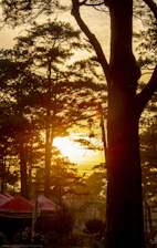 A serene safari camp at sunset with elegant tents and acacia trees silhouetted against a glowing sky.