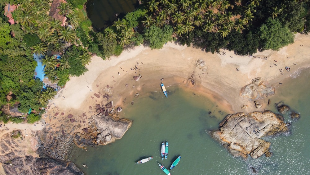 aerial view of people on beach during daytime