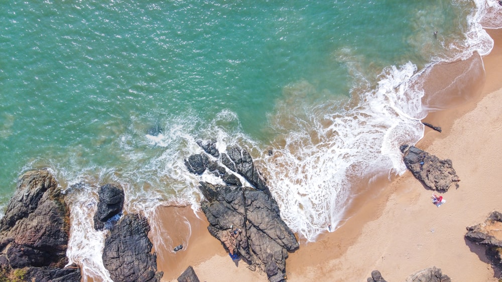 aerial view of beach during daytime