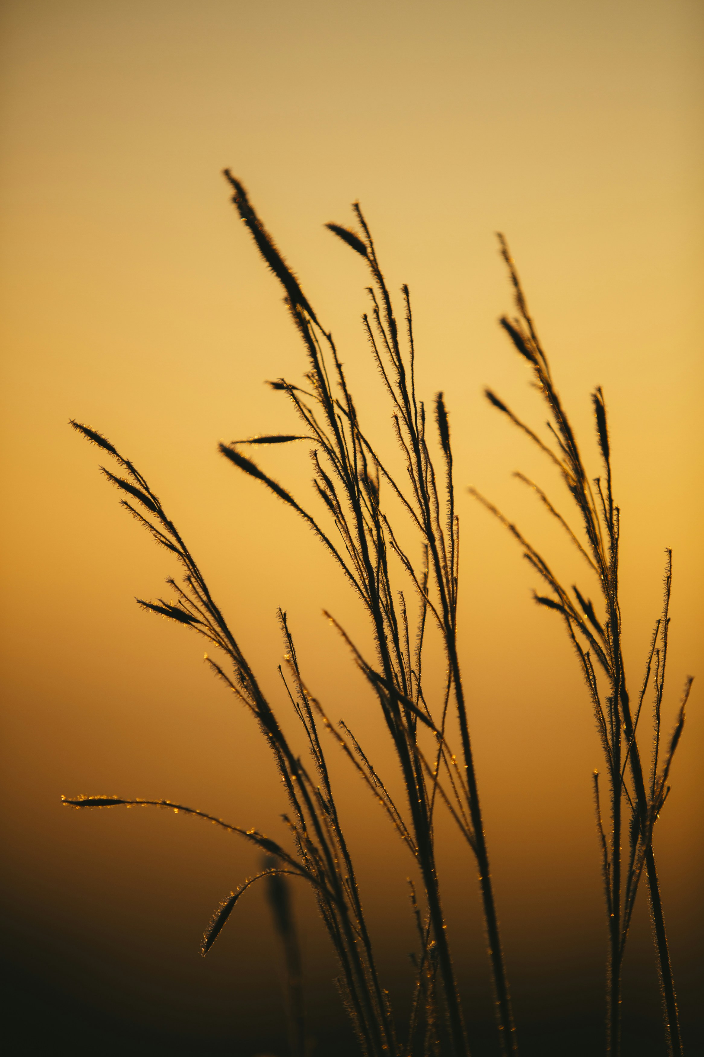 Photo by markusspiske