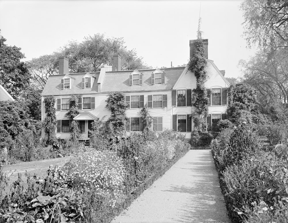 grayscale photo of houses near trees