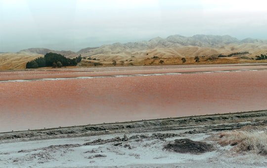 brown mountain near body of water during daytime in Lake Grassmere New Zealand