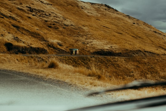 brown grass field near road in Godley Head New Zealand