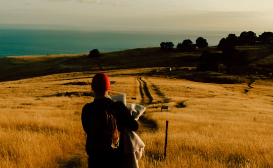 man in black jacket standing on brown grass field during daytime in Godley Head New Zealand