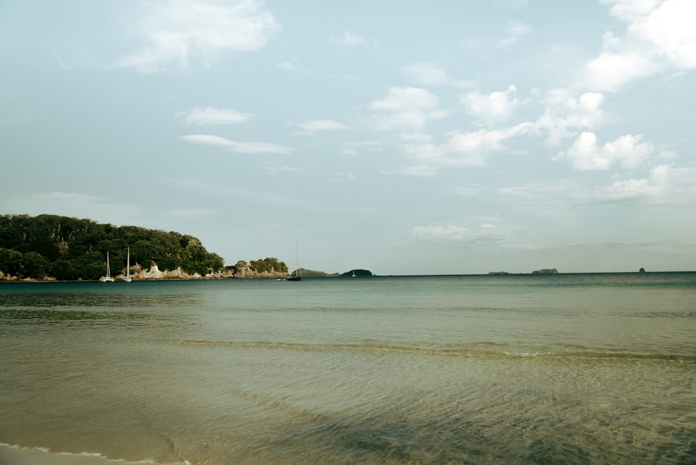 body of water near green trees under white clouds during daytime