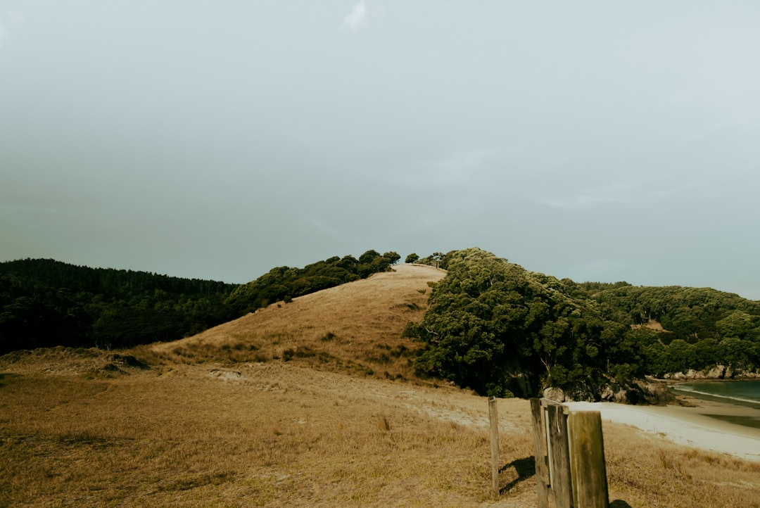 Hill photo spot Great Mercury Island Tawharanui Peninsula