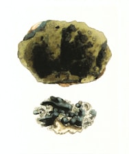 Two detailed illustrations of mineral specimens are depicted, one large and one smaller. The large specimen features a dark, uneven surface with greenish and brown hues, suggesting a rough texture. The smaller specimen below shows intricate formations with a mix of black and cream colors and delicate, swirling patterns surrounding it.