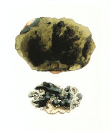 Two detailed illustrations of mineral specimens are depicted, one large and one smaller. The large specimen features a dark, uneven surface with greenish and brown hues, suggesting a rough texture. The smaller specimen below shows intricate formations with a mix of black and cream colors and delicate, swirling patterns surrounding it.