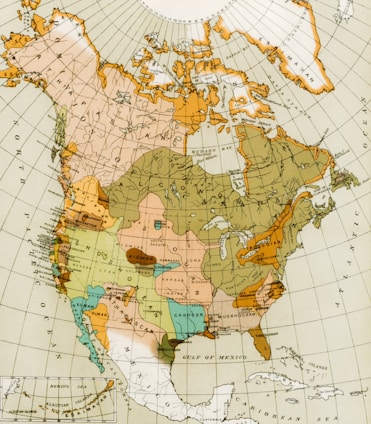 green and brown map illustration