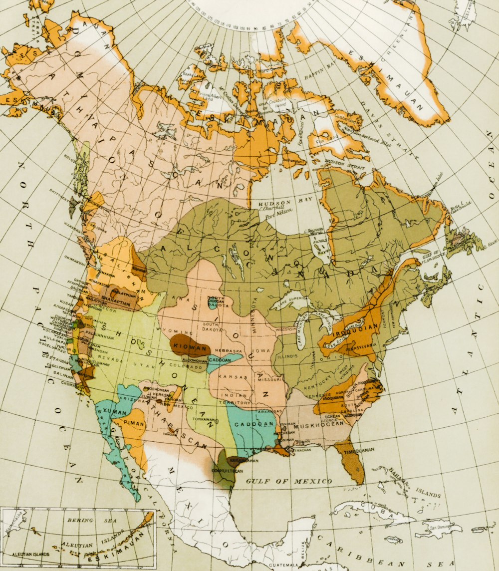 Ilustración de mapa verde y marrón