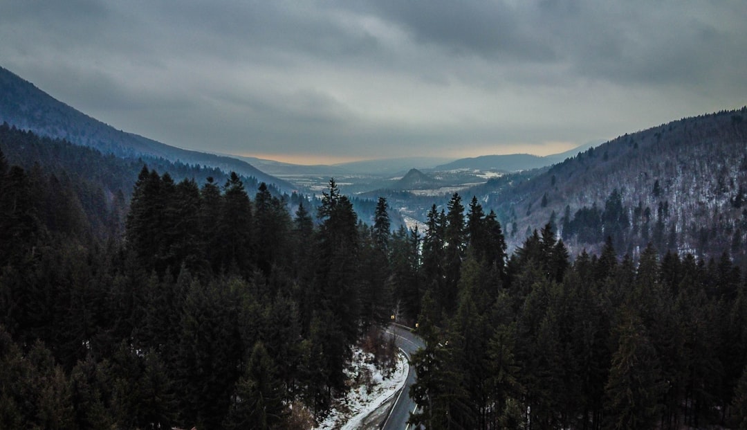 Mountain range photo spot TuÈ™nad Jepii Mici