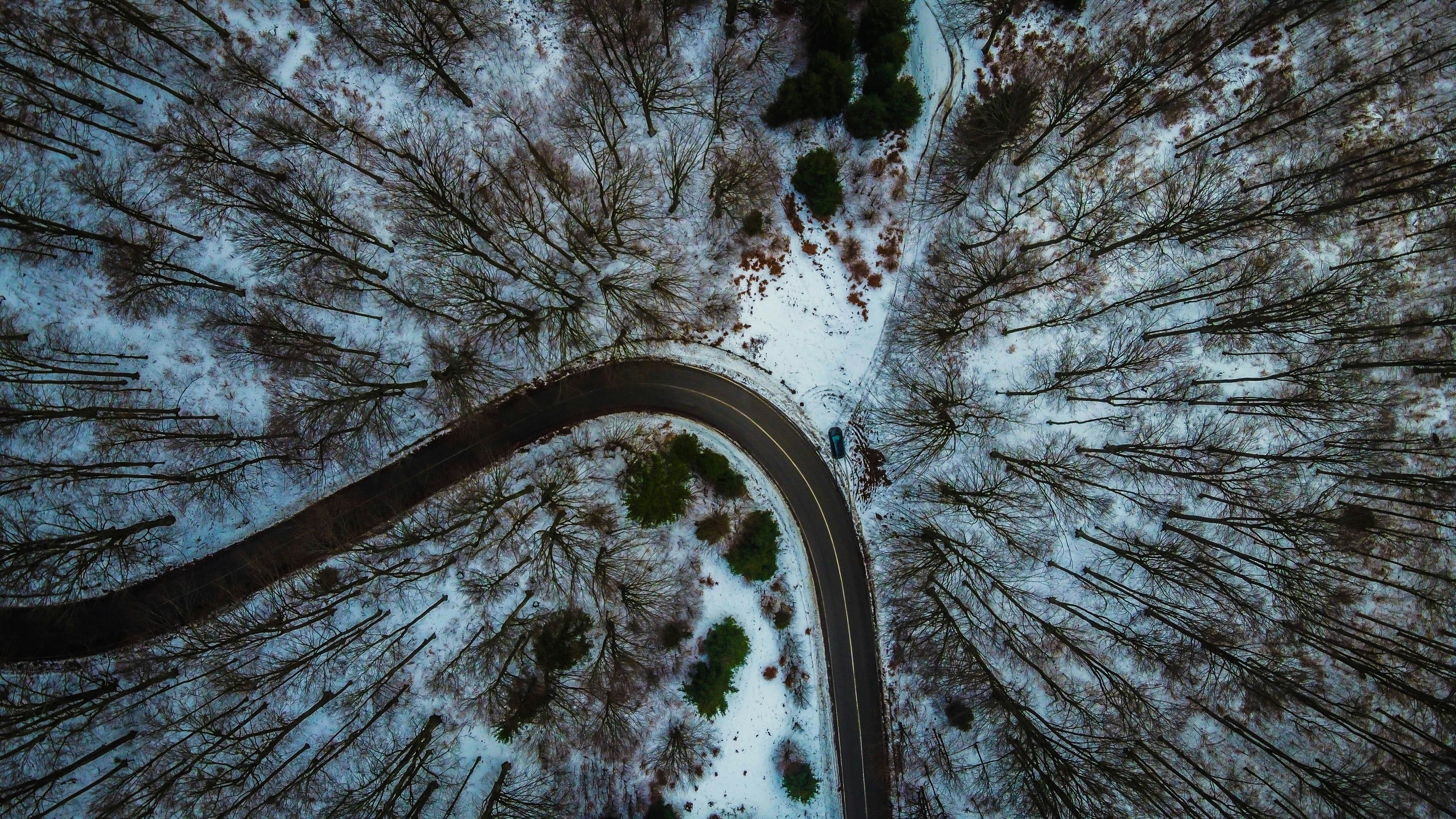 snow covered trees and road, Mountain Road. Drone View.</p><p>–– https://www.buymeacoffee.com/vladhilitanu ––</p><p>If you appreciate my work, give it a shout and buy me a coffee.
