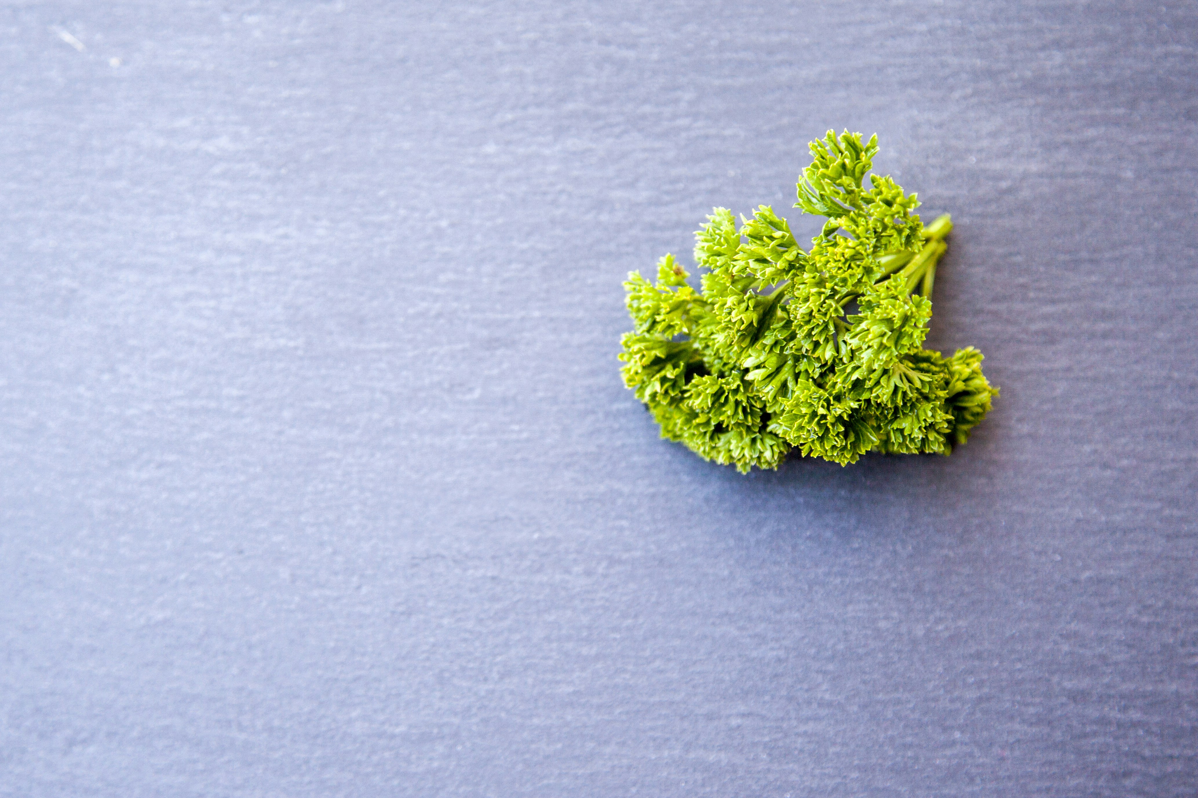 Photo by shaunmcreatives