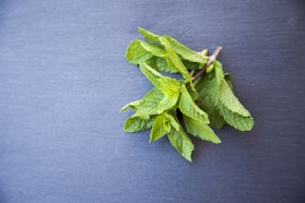 peppermint tea leaves for fall tea