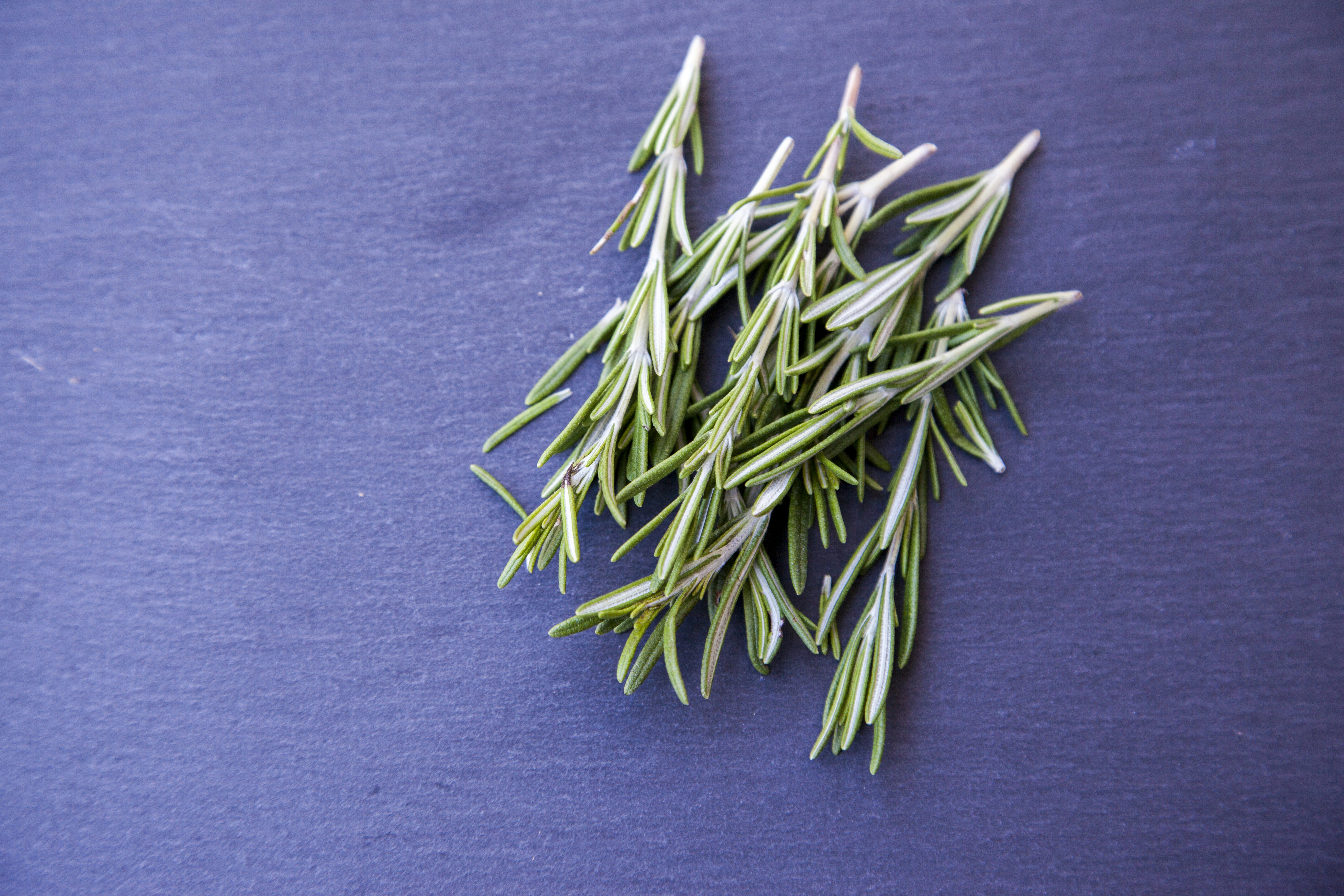 Photo by shaunmcreatives