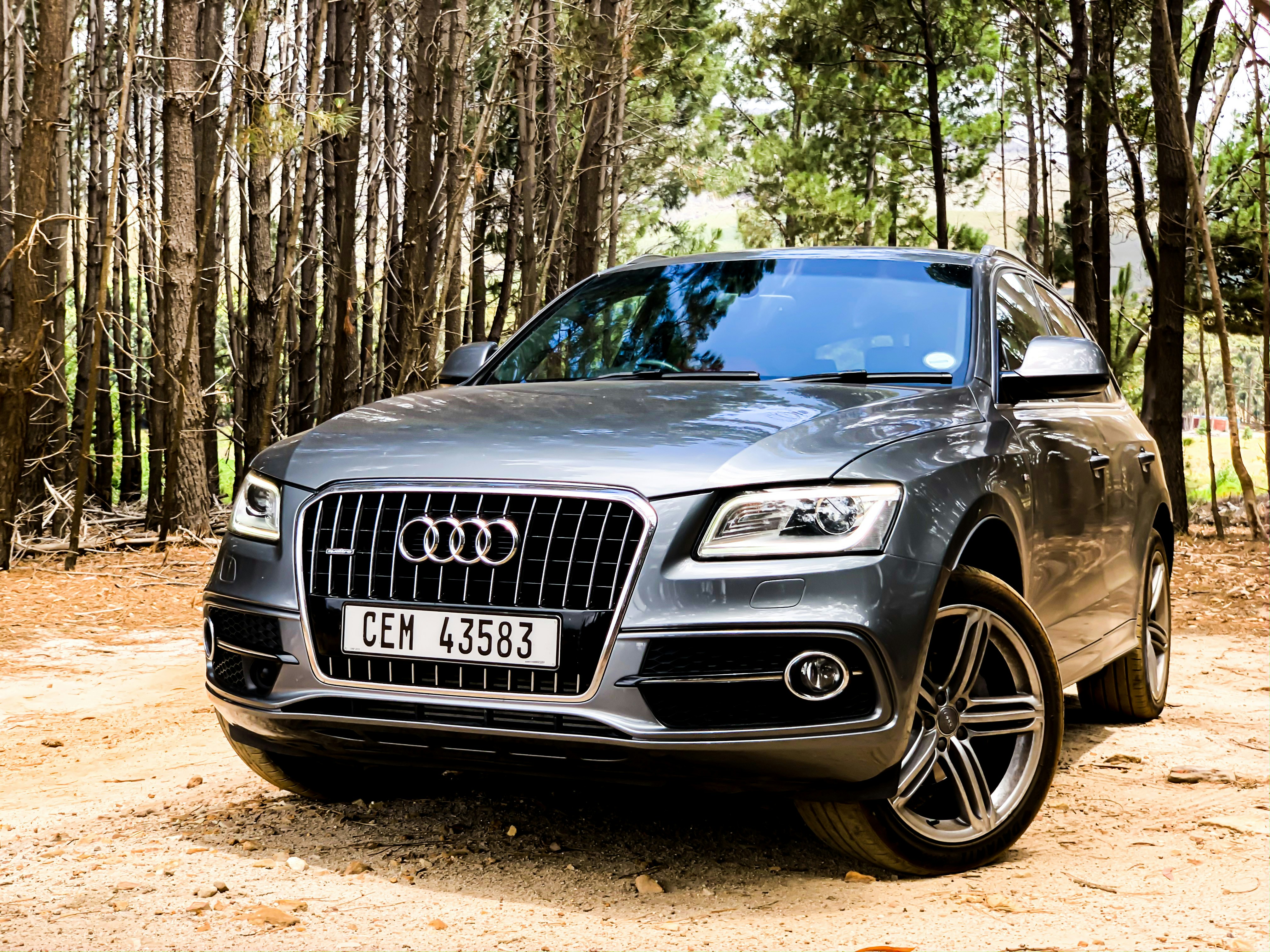 Audi Q5 SUV in dark blue, parked at scenic overlook, forest background, twilight lighting